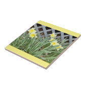 Groep Daffodils Tegeltje (Zijkant)