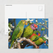 Groep der artikelen briefkaart (Voorkant / Achterkant)