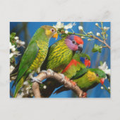 Groep der artikelen briefkaart (Voorkant)