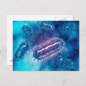 Groep Escherichia coli bacteriecellen 1 Briefkaart (Voorkant / Achterkant)