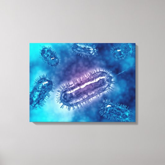 Groep Escherichia coli bacteriecellen 1 Canvas Afdruk (Voorkant)
