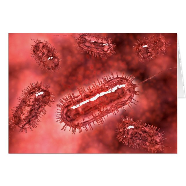 Groep Escherichia coli bacteriecellen 2 (Voorkant Horizontaal)