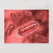 Groep Escherichia coli bacteriecellen 2 Briefkaart (Voorkant)