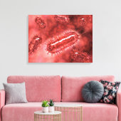 Groep Escherichia coli bacteriecellen 2 Canvas Afdruk (Insitu (Woonkamer))