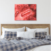 Groep Escherichia coli bacteriecellen 2 Canvas Afdruk (Insitu (Slaapkamer))