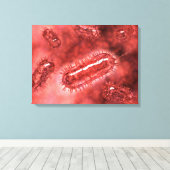 Groep Escherichia coli bacteriecellen 2 Canvas Afdruk (Insitu (Houten vloer))