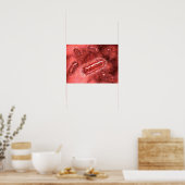 Groep Escherichia coli bacteriecellen 2 Poster (Keuken)