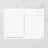 Groep flamingos en eenden in Camargue Feestdagenkaart (Achterkant)