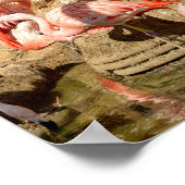 Groep flamingos en nesten in Camargue Poster (Hoek)