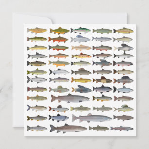 Groep forel, char, grijs, Hucho en Whitefish Notitiekaartje