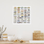 Groep forel, char, grijs, Hucho en Whitefish Poster (Keuken)