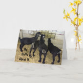 GROEP GEITEN STUURT GEEN KONT OVER HET VERJAARDAGS KAART (Gele Bloem)