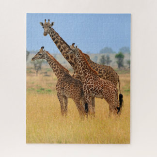 Groep Giraffes in het Nationaal Park Serengeti Legpuzzel