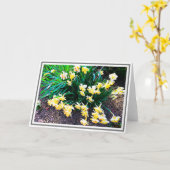 Groep heldere geelkleppen met groene bladeren kaart (Gele Bloem)