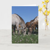 Groep het Weiden van Paarden Appaloosa Kaart (Gele Bloem)