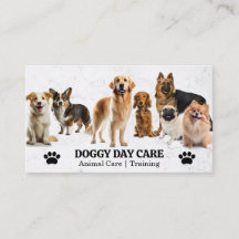 Groep Honden | Dierenverzorging | Trainer