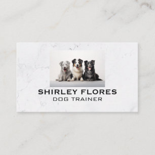 Groep Honden Huisdierverzorging Visitekaartje