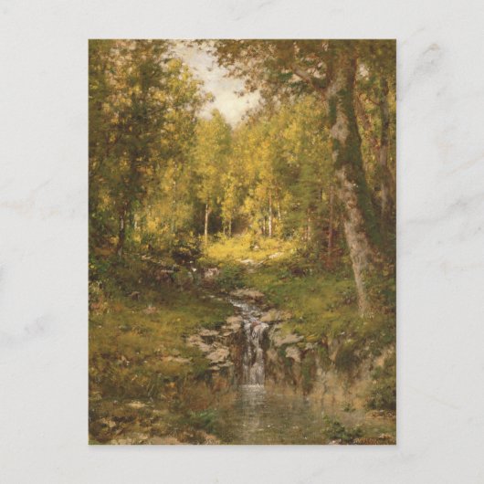 Groep in de Bossen Briefkaart (Voorkant)