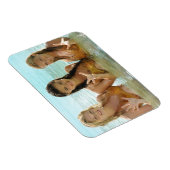 Groep in water magneet (Rechterzijde)