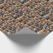 Groep Katten met Zonnebril Cadeaupapier (Hoek)