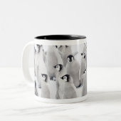 Groep keizerpinguïns (Aptenodytes forsteri) Tweekleurige Koffiemok (Voorkant links)