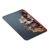 Groep Kittens Magneet (Rechterzijde)
