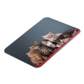 Groep Kittens Magneet (Linkerzijde)