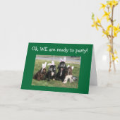 GROEP KLAAR OM TE FEESTEN-BEN JE 40 KAART (Gele Bloem)