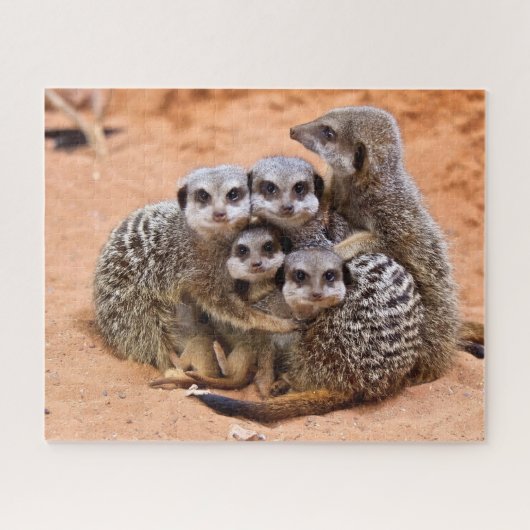 Groep Meerkatten bij elkaar Legpuzzel (Horizontaal)