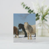 Groep minipaarden in de sneeuw briefkaart (Staand voorkant)