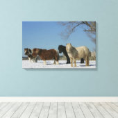 Groep minipaarden in de sneeuw canvas afdruk (Insitu (Houten vloer))