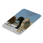 Groep minipaarden in de sneeuw magneet (Linkerzijde)