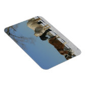 Groep minipaarden in de sneeuw magneet (Rechterzijde)