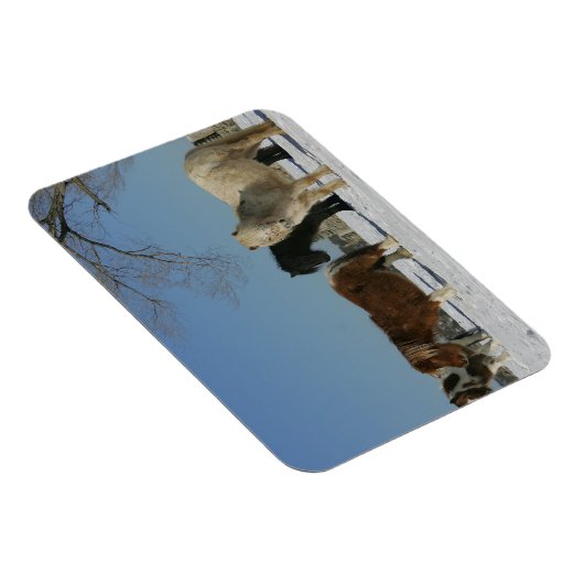 Groep minipaarden in de sneeuw magneet (Rechterzijde)