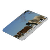 Groep minipaarden in de sneeuw magneet (Linkerzijde)