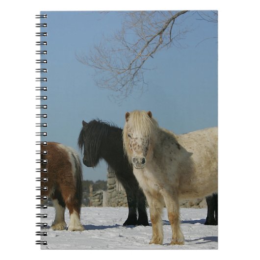 Groep minipaarden in de sneeuw notitieboek (Voorkant)