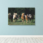 Groep miniveulens canvas afdruk (Insitu (Houten vloer))