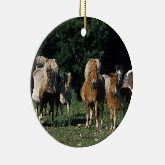 Groep miniveulens keramisch ornament (Rechts)