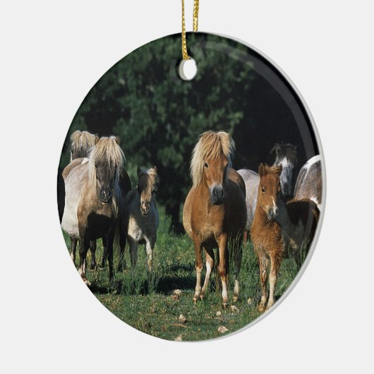 Groep miniveulens keramisch ornament (Links)