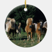 Groep miniveulens keramisch ornament (Achterkant)