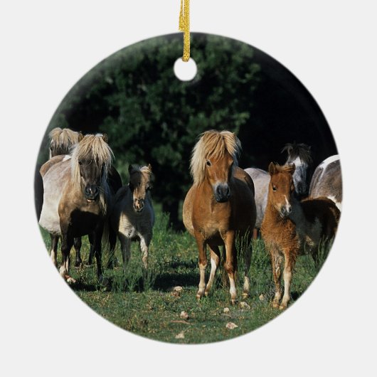 Groep miniveulens keramisch ornament (Achterkant)