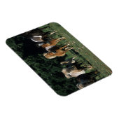 Groep miniveulens magneet (Rechterzijde)