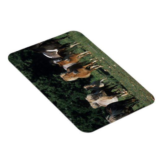 Groep miniveulens magneet (Rechterzijde)