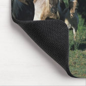 Groep miniveulens muismat (Hoek)