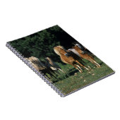 Groep miniveulens notitieboek (Rechterzijde)