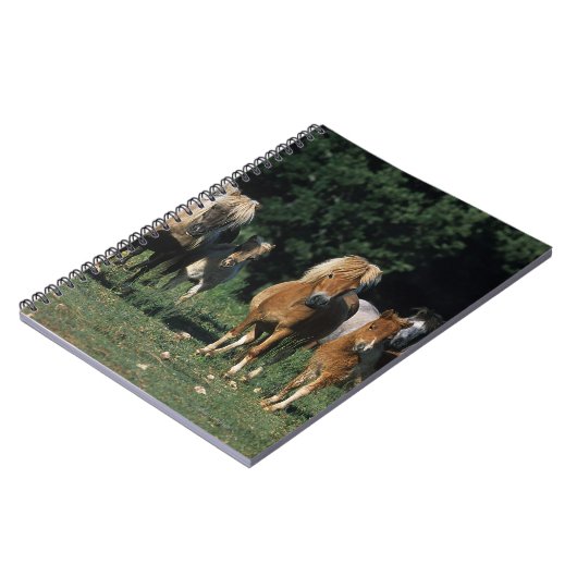 Groep miniveulens notitieboek (Linkerzijde)