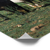 Groep miniveulens poster (Hoek)