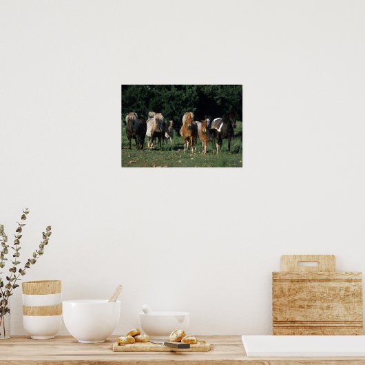 Groep miniveulens poster (Keuken)