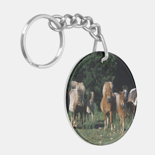 Groep miniveulens sleutelhanger (Voorkant Links)