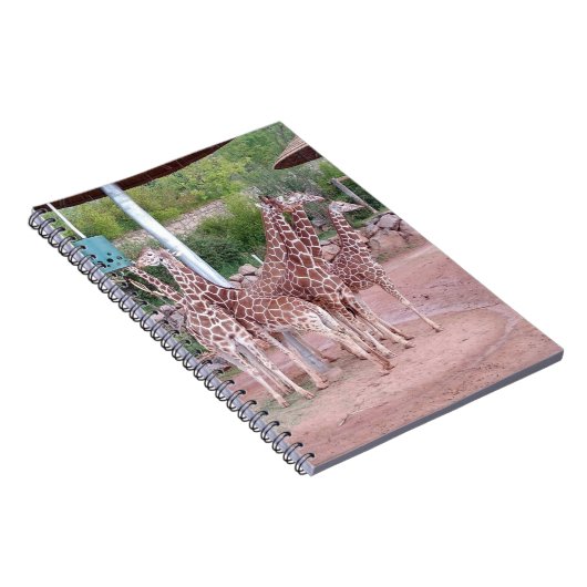 Groep Notitieboek #2 (Rechterzijde)